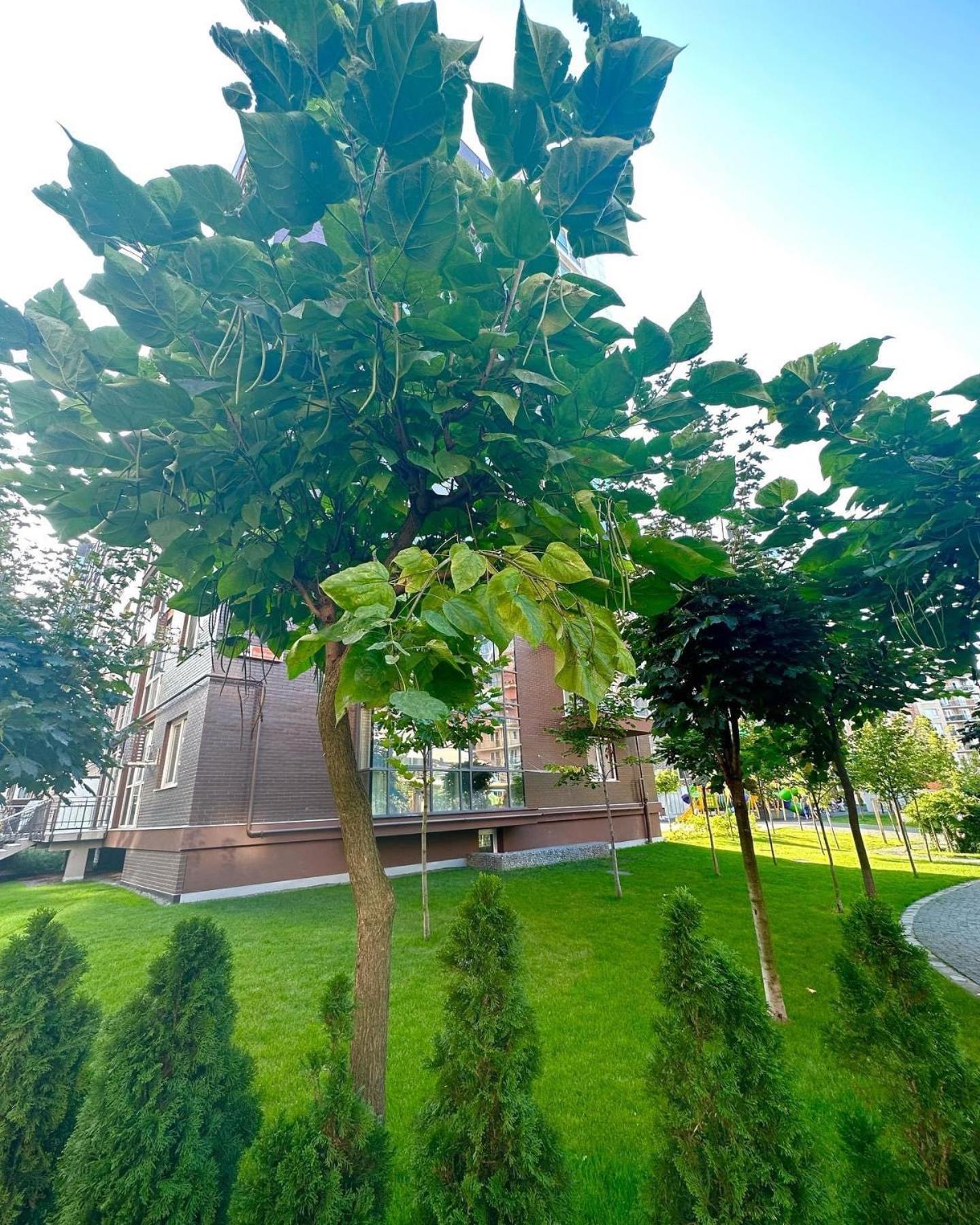 Vodogray Luxury Apartments With Underground Parking Елітний Житловий Комплекс Tsjernivtsi Eksteriør bilde